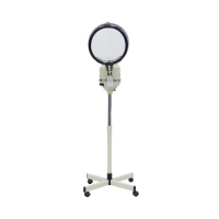 Steamer Head & Facial 2 In 1