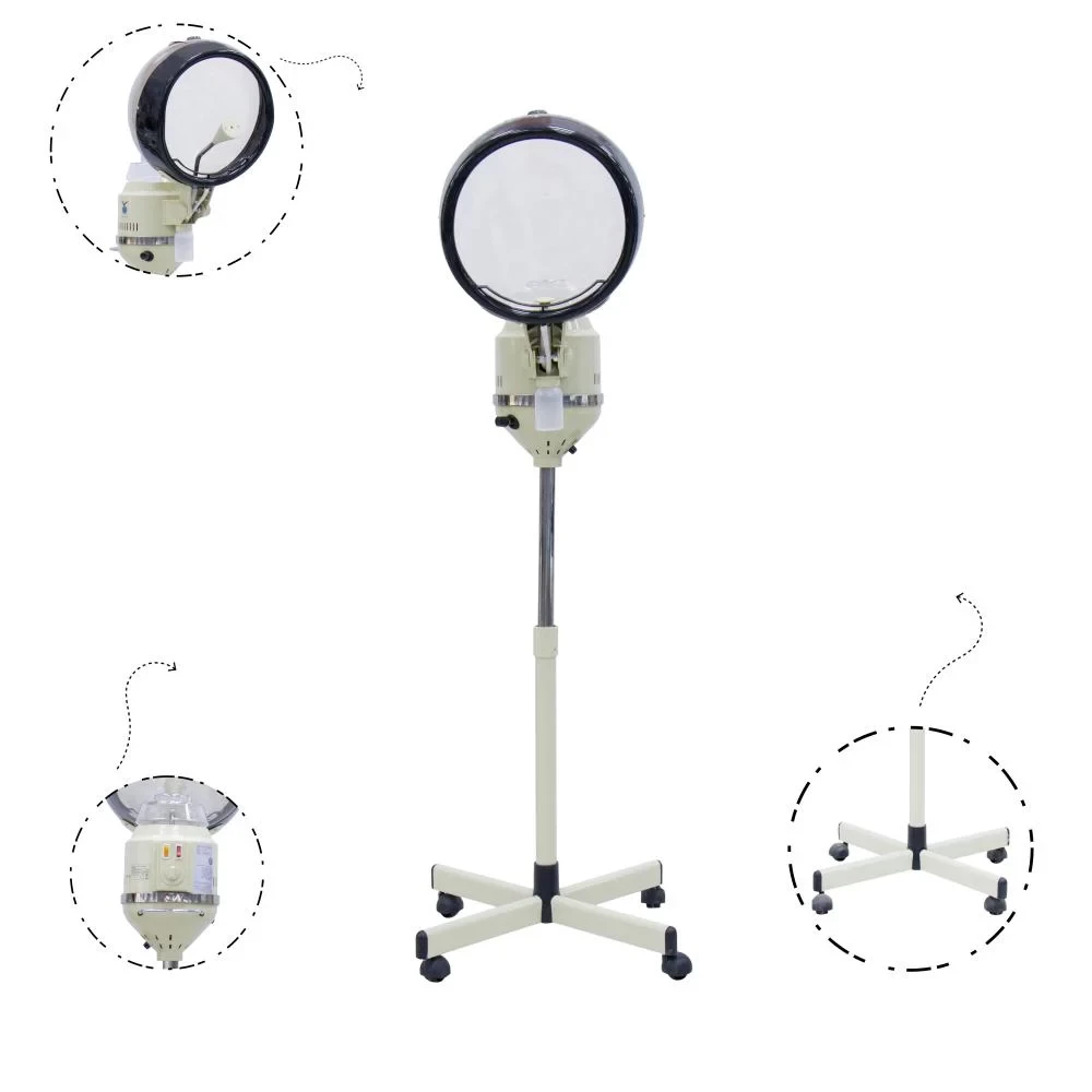 Steamer Head & Facial 2 In 1