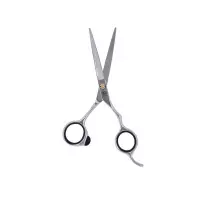 Scissors PTB-55