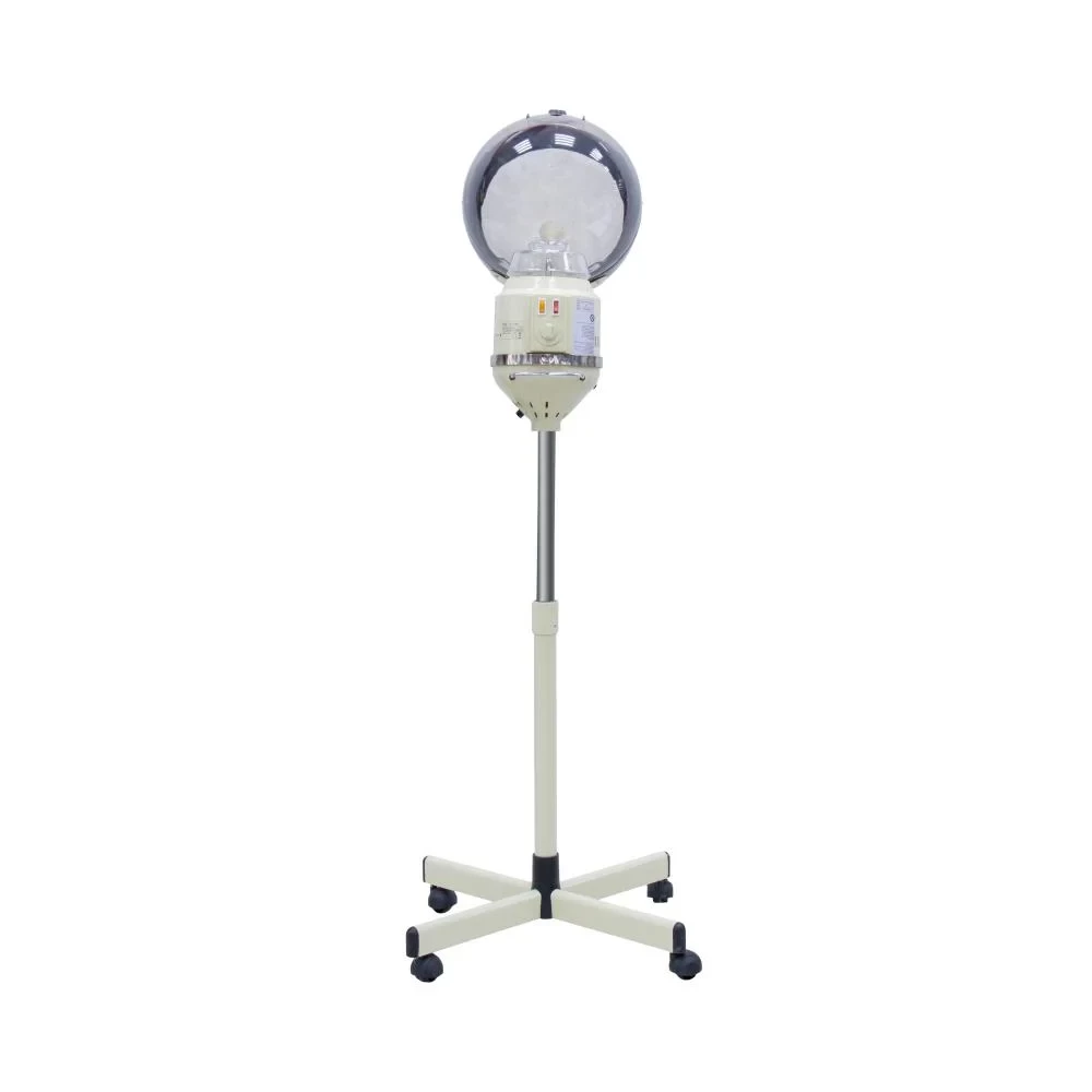 Steamer Head & Facial 2 In 1