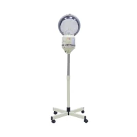 Steamer Head & Facial 2 In 1
