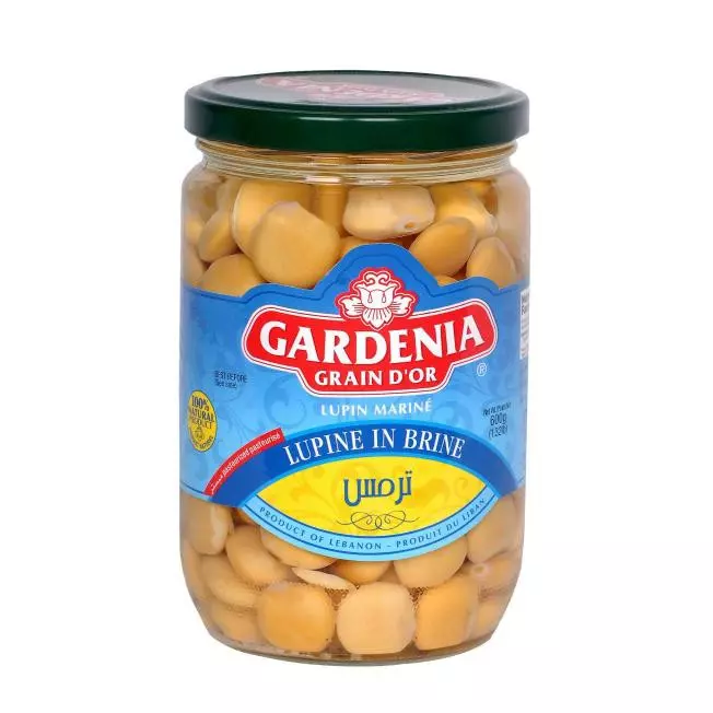 غاردينيا ترمس 320غ