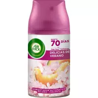 11629