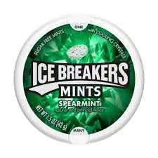ICE BREAKER MINT SPEARMINT 42G
