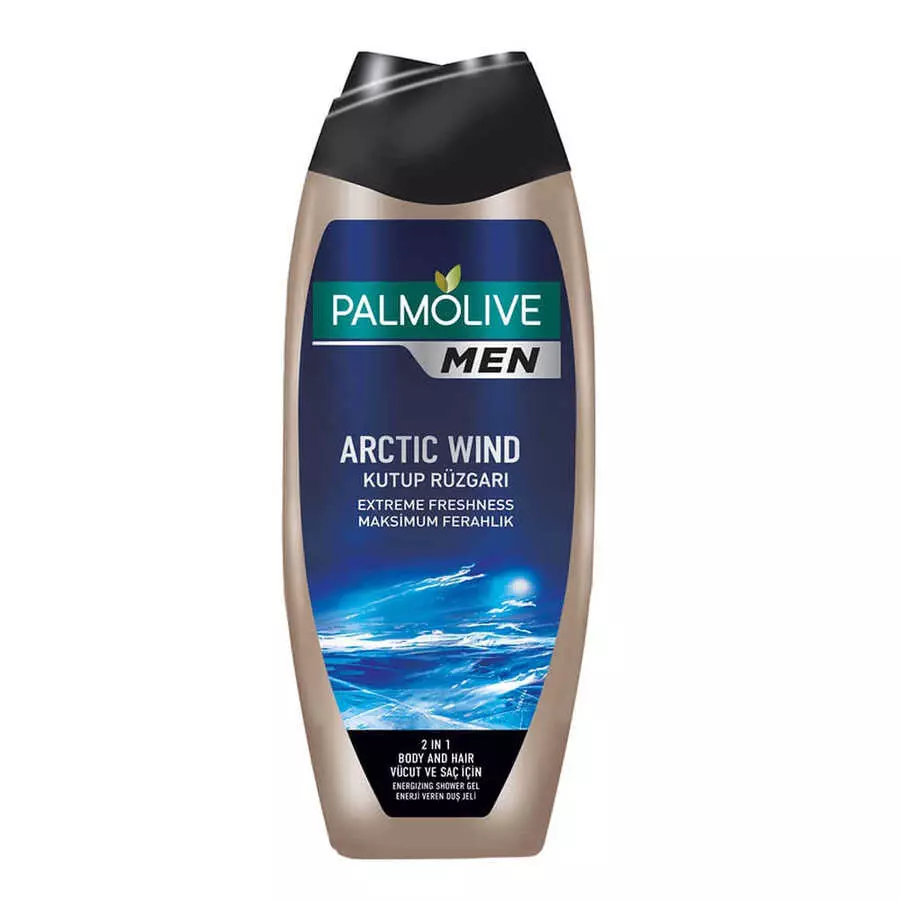 PALMOLIVE MEN ARCTIC WIND 3 IN 1 500 ML