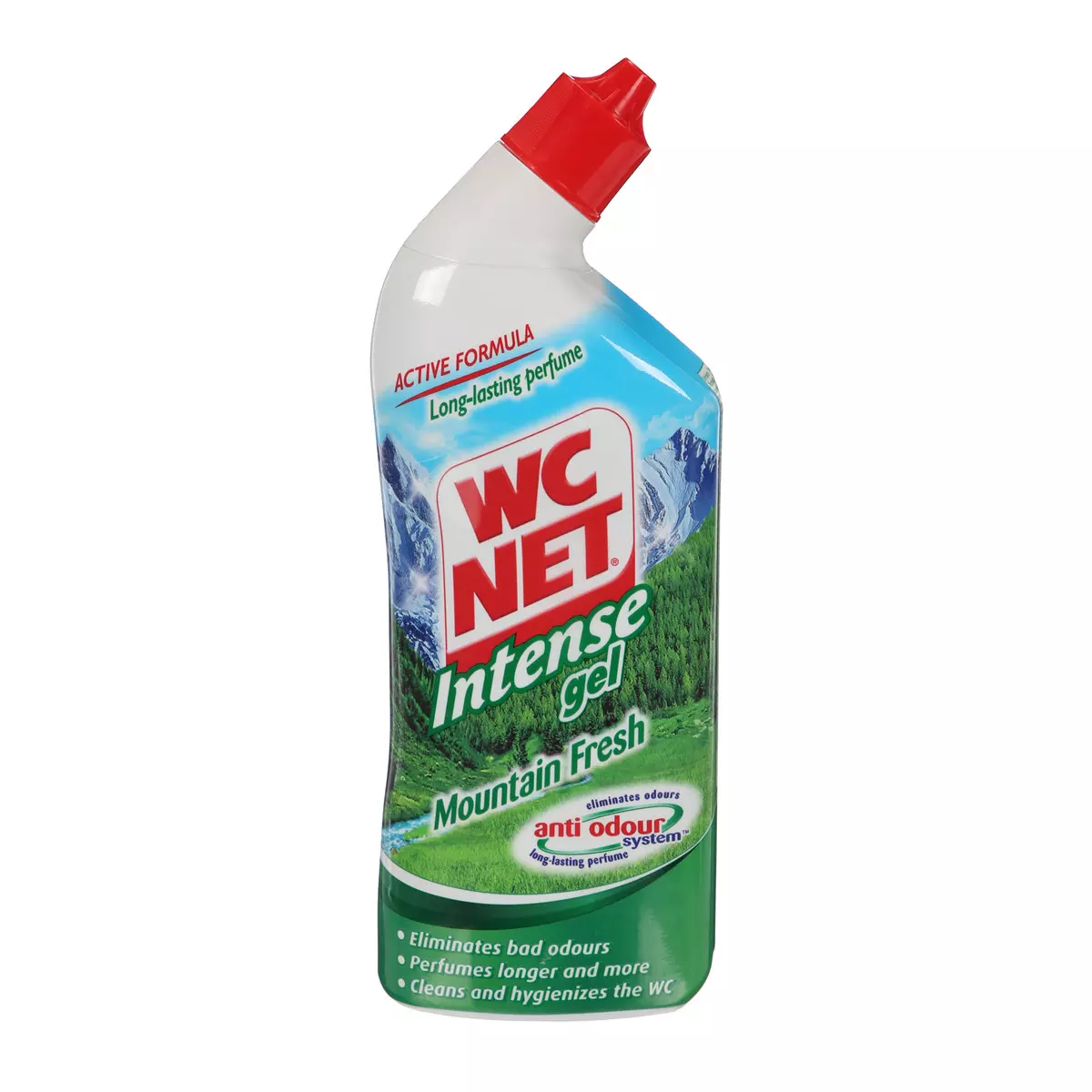 WC NET INTENSE GEL MOUNTAIN FRESH 750ML 
