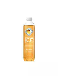 SPARKLING ICE ORANGE MANGO SF 502.8ML