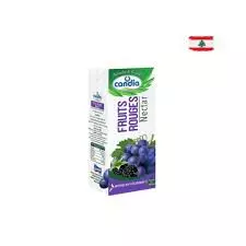 كانديا عصير عنب وتوت 180مل