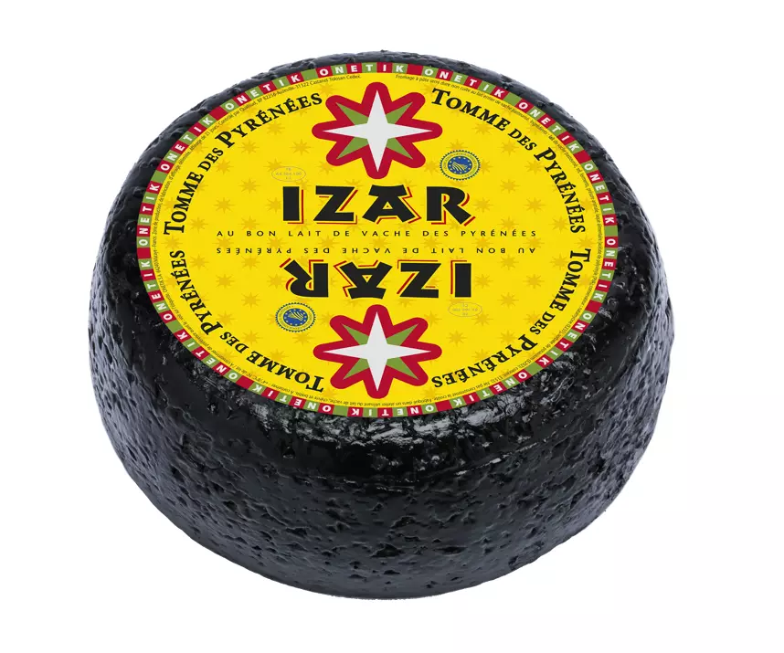 IZAR TOMME DES PYRENEES