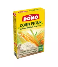3504