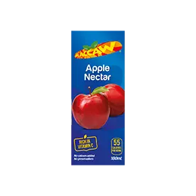 4125