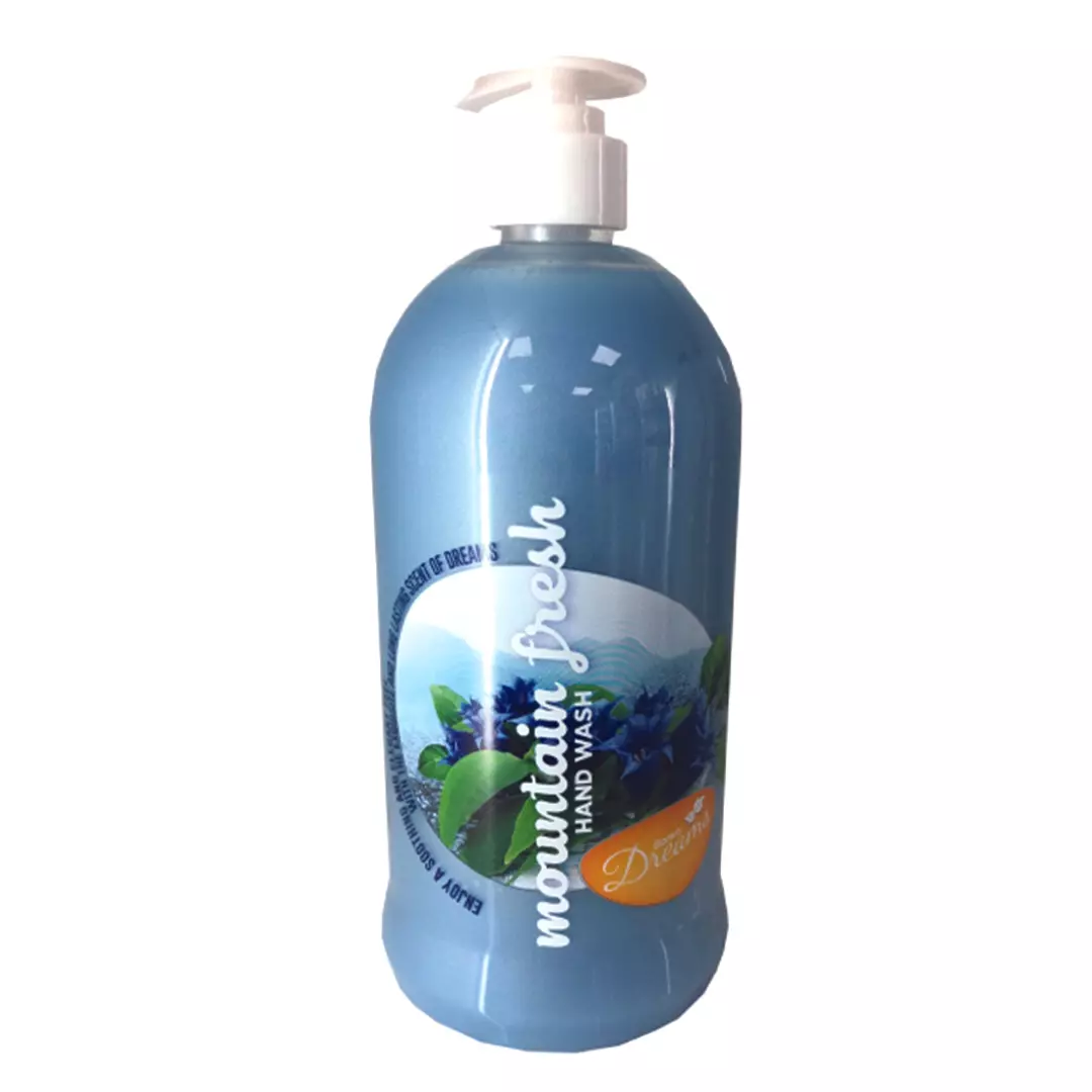 SANITA DREAM HAND WASH MOUNTAIN FRESH 1 L