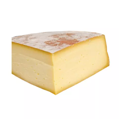 HARD CHEESE
