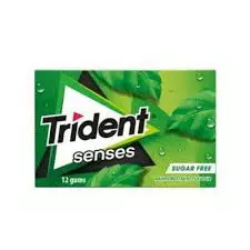 TRIDENT SENSES MINT 23G
