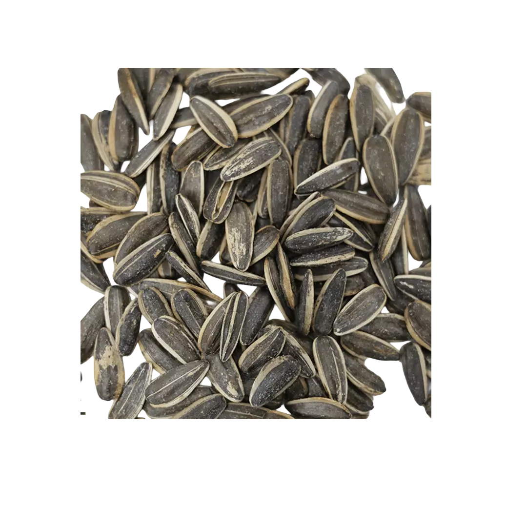 بزر دوار الشمس محمص