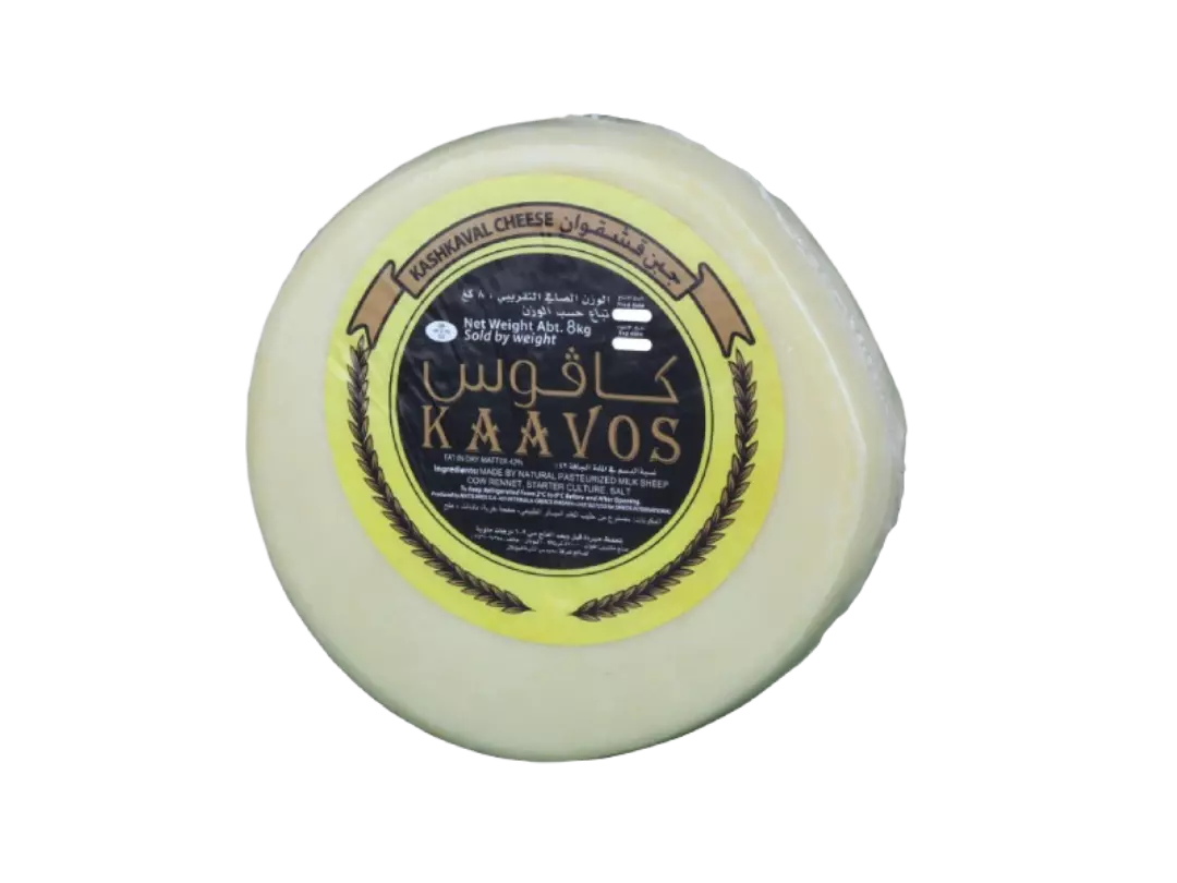 KAAVOS KASHKAVAL SHEEP
