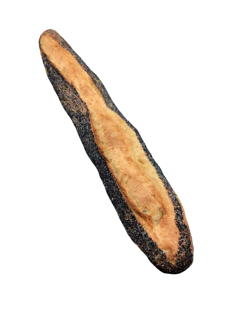 BAGUETTE RUSTIQUE POPPY SEEDS (6202)