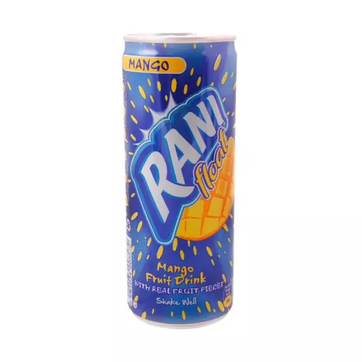 RANI FLOAT MANGO FRUIT DRINK 240 ML