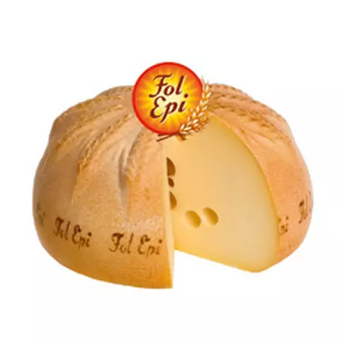 FOL EPI
