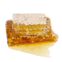 13819