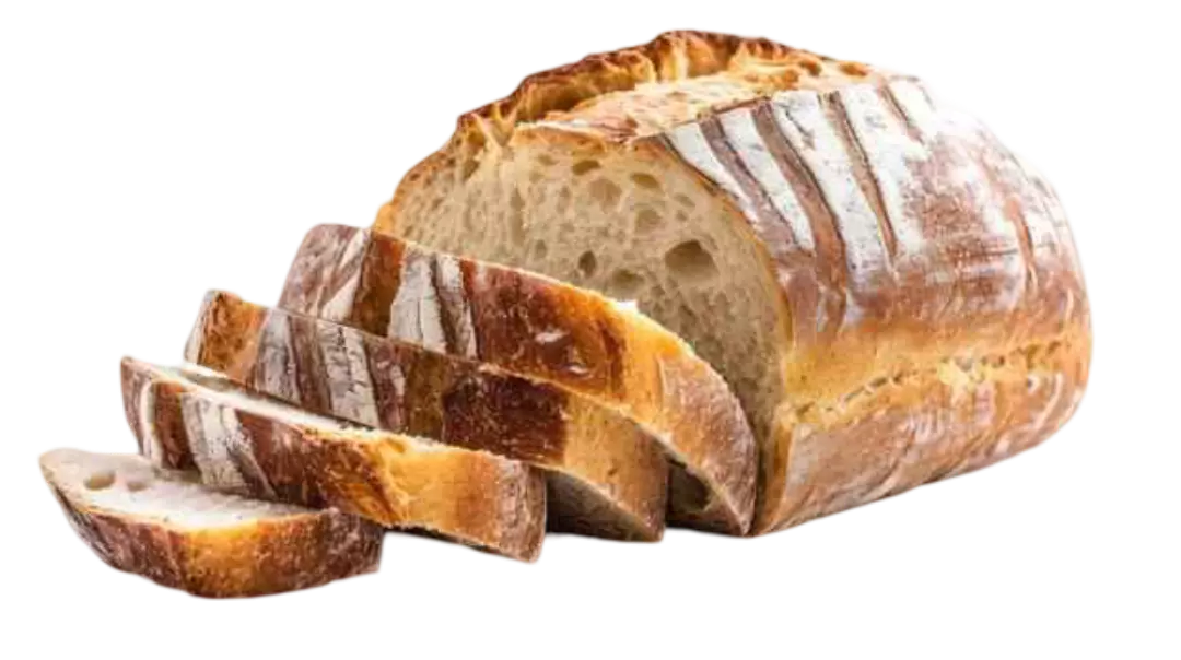 SOUR DOUGH