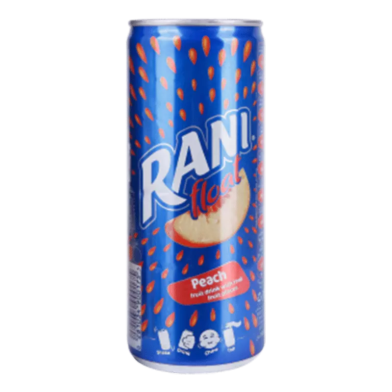 RANI FLOAT PEACH FRUIT DRINK 240 ML