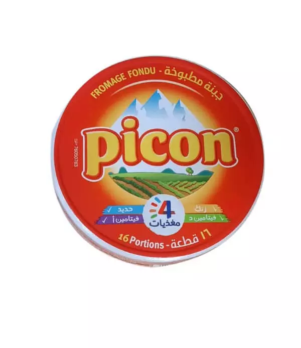 PICON CHEESE *16 240 G