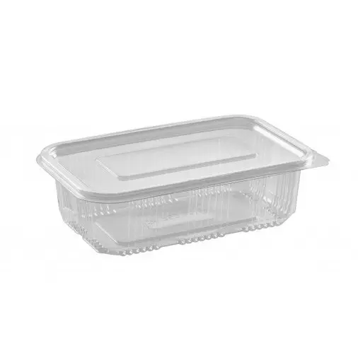 VERA FOOD CONTAINER RECTANGLE *10 750CC