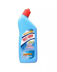 OCEAN FRESH TOILET CLEANER 100G