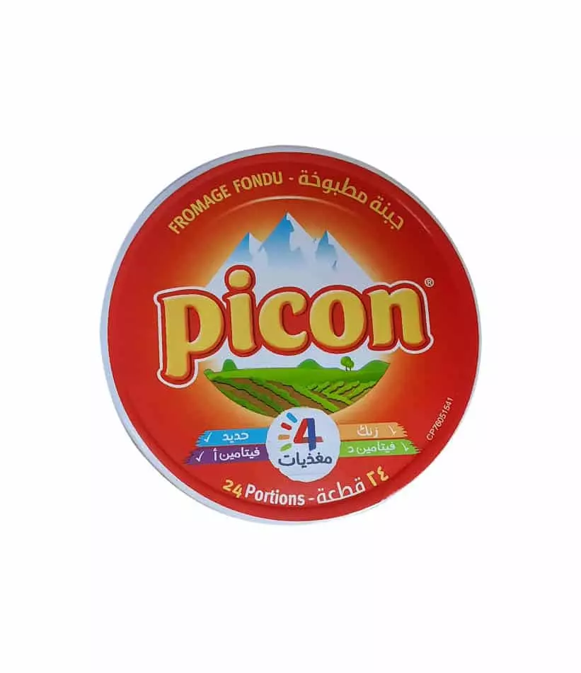 PICON CHEESE *24 360 G
