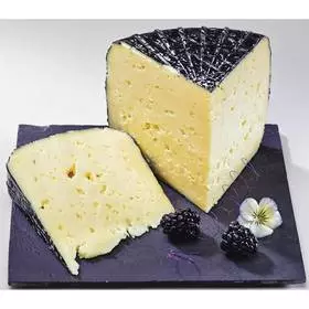 ONETIK TOMME DES PYRENEES