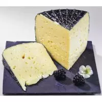 ONETIK TOMME DES PYRENEES
