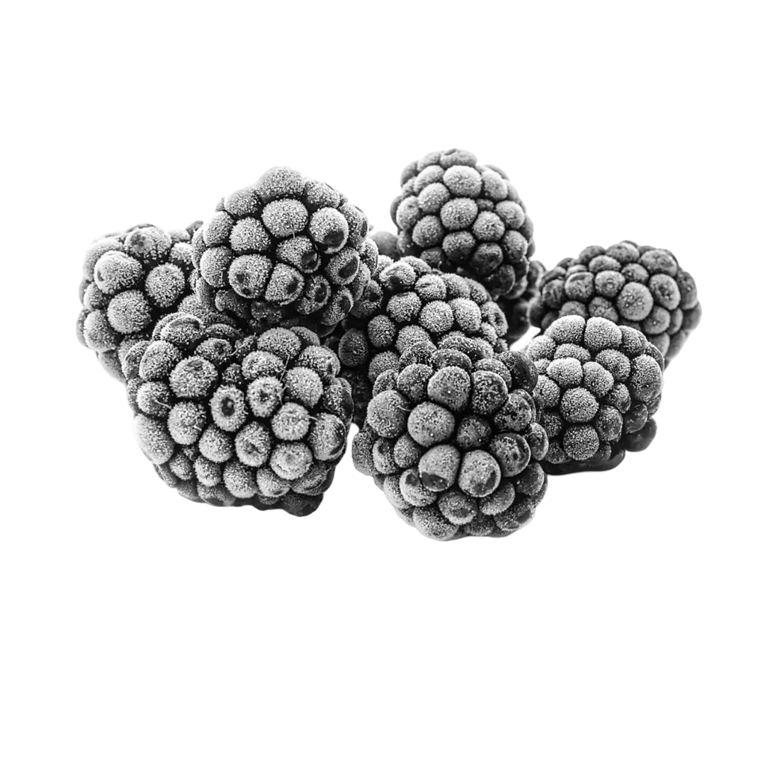FROZEN BLACKBERRY
