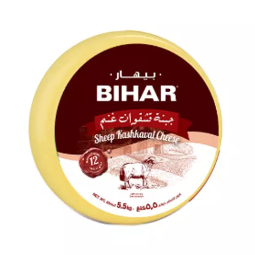 BIHAR SHEEP KASHKAVAL