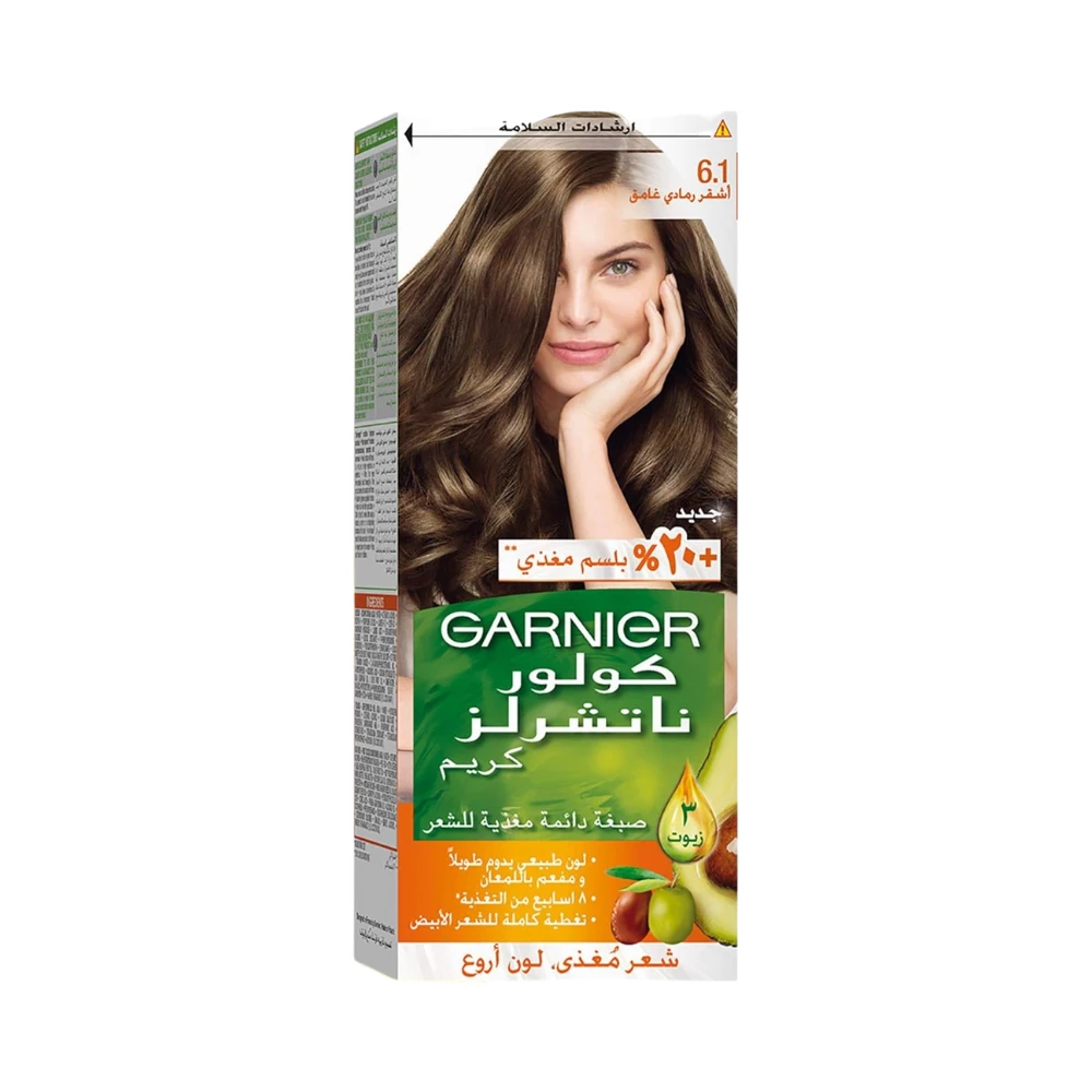 GARNIER HAIRCOLOR DARK ASH BLONDE #6.1