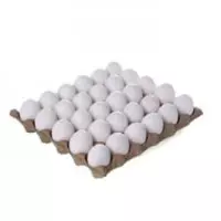 13631